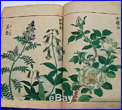 1883 Wild Flowering Plant BOTANY Japanese Full-color Woodblock Print Book