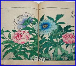 1883 Wild Flowering Plant BOTANY Japanese Full-color Woodblock Print Book