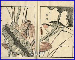 1884 Tachibana Unga Bird Pictures Meiji Japanese Original Woodblock Print Book