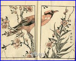 1884 Tachibana Unga Bird Pictures Meiji Japanese Original Woodblock Print Book