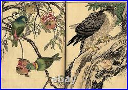 1891 KEINEN Kacho Gafu Woodblock Print Bird & Flower Picture Book FALL AUTUMN