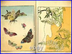 1903 Birds 50 Pictures by Haruna KInzan Japanese Original Woodblock Print Book