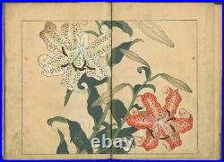 1908 Shiki no hana Sakai Hoitsu Meiji Original Flower Book Japan Woodblock Print