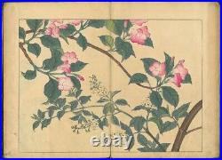 1908 Shiki no hana Sakai Hoitsu Meiji Original Flower Book Japan Woodblock Print