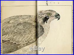 1913 Orig EISHO Ornithology Japanese Woodblock Print Bird Picture Book Vol. 1