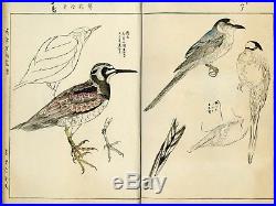1913 Orig EISHO Ornithology Japanese Woodblock Print Bird Picture Book Vol. 1