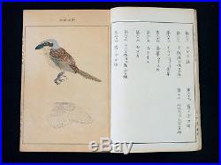 1914 Original EISHO Ornithology Japanese Woodblock Print Bird Picture Book Vol. 3