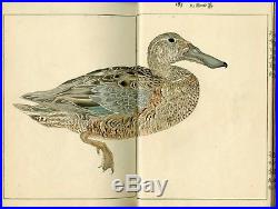 1914 Original EISHO Ornithology Japanese Woodblock Print Bird Picture Book Vol. 3