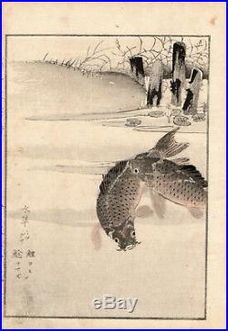 19th Kikuchi Hobun CARPE Japanese woodblock print ORIGINAL 1891