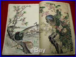 3-40 Large book BAIREI Japanese Bird Woodblock print BOOK