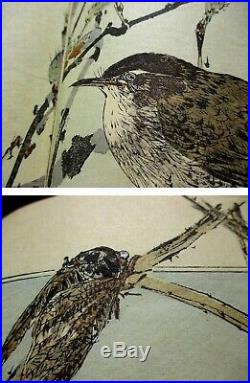 3-45 SEITEI bird GAFU Japanese Woodblock print 3 BOOK