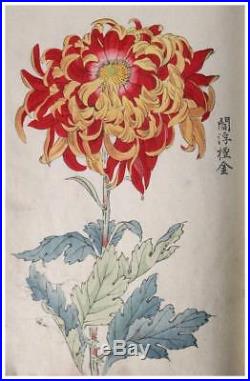 APB44-1 Meiji Japanese woodblock print book No1 hasegawa keika HYAKUGIKU 1893