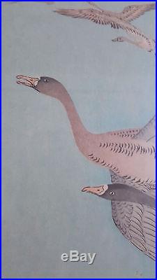 Antique 1920s Ohara Koson Shoson Japanese Woodblock Print Flying Geese and Reeds
