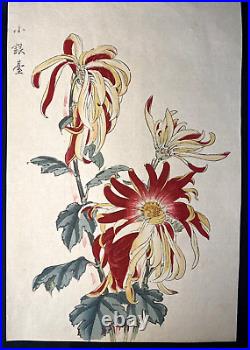Antique Japan Woodblock print Keika Hasegawa One Hundred Chrysanthemum