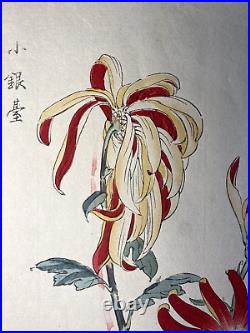 Antique Japan Woodblock print Keika Hasegawa One Hundred Chrysanthemum
