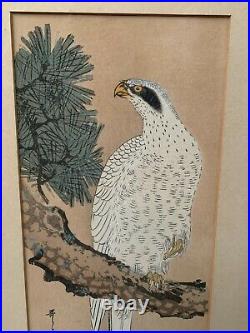Antique Japanese Meiji Era Framed Woodblock Print Eagle Hawk Falcon Wall Art