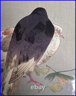 Antique Japanese Woodblock Print Watanabe Seitei Pigeons Kabutoya