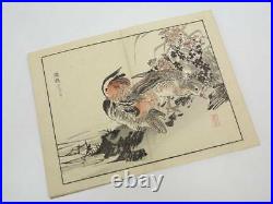 Antique Japanese Woodblock Print birds Book
