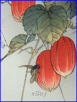 Beautiful Japanese Woodblock by Kawanabe Gyosui Bee & Fruit c. 1930s