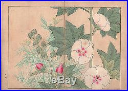 Ca 1890 Ukiyo-e Art Western Flowers Tanigami Konan Woodblock Prints Plants Flora