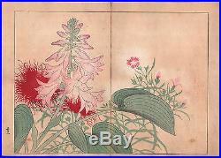 Ca 1890 Ukiyo-e Art Western Flowers Tanigami Konan Woodblock Prints Plants Flora