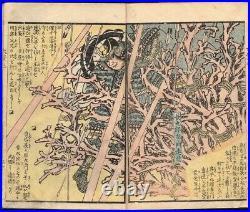 Ehon Taihoki 1871 Woodblock Print Ukiyoe Samurai Book by Yoshitora Original