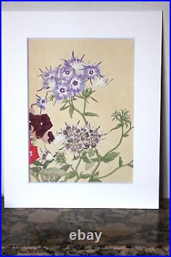 Exquisite Japanese 1917 Antique Woodblock Flower Print by Konan Tanigami, Matted