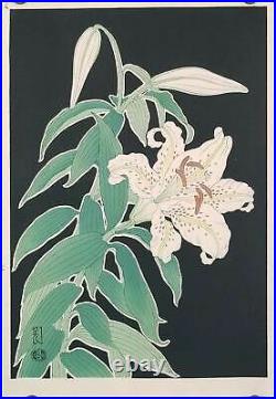 FLOWERS LILY / Japanese woodblock print of a white lily flower 1950