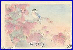 GAKUSUI JAPANESE Woodblock Print SHIN HANGA Japanese Ivy and Titmouse