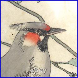 Genuine Keinen Kacho Gafu Bird Flowes Woodblock Print Antique Vintage Asian 85