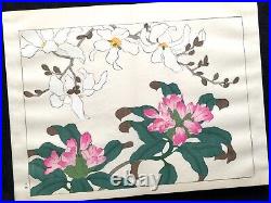 HOITSU Seasonal Flowers Woodcut album SHIKI NO HANA SE Woodblock print Book #1