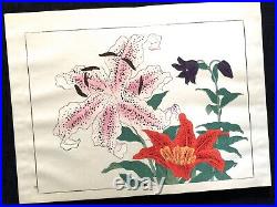 HOITSU Seasonal Flowers Woodcut album SHIKI NO HANA SE Woodblock print Book #3