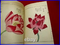 H-69 Japanese HONZO plant botanical Woodblock print BOOK