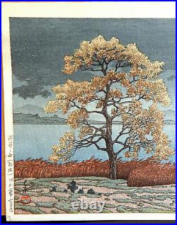 Hasui Kwase Rain On Lake Matsui Antique Japanese Woodblock Print