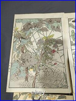 Imao Keinen Birds And Flowers. Japanese Original Woodblock Print