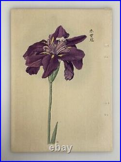 Japanese Iris Woodblock Print Hand Colored 1921 Manabu Miyoshi Botanical Antique