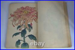 Japanese Keika Hyakugiku VOL2 flowers & mum woodblock print book Meiji APB78