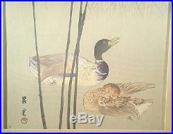 Japanese Woodblock 1st Print'Ducks & Reeds' by Shodo
