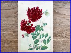 Japanese Woodblock PrintDAHLIARakuzan Flower Vintage Original Antique