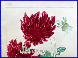 Japanese Woodblock PrintDAHLIARakuzan Flower Vintage Original Antique