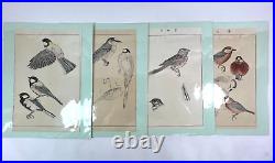 Japanese Woodblock Print 100 Birds Tsuchida Eisho 23 prints 1913 Original