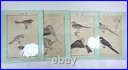 Japanese Woodblock Print 100 Birds Tsuchida Eisho 23 prints 1913 Original