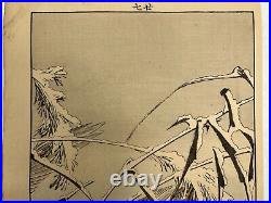 Japanese Woodblock Print 4 print from Keinen Kacho Gafu? Bird Vintage Original