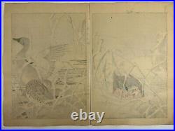 Japanese Woodblock Print 4 print from Keinen Kacho Gafu? Bird Vintage Original