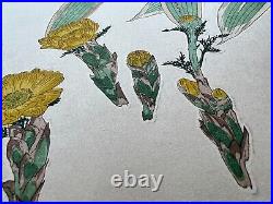 Japanese Woodblock Print Adonis Kawarazaki Shodo Floral Art Vintage Original