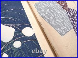 Japanese Woodblock Print Book Bijutsuzuan Gaho Vol. 2 16 illustrations Vintage
