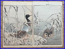 Japanese Woodblock Print Book Keinen Kacho-Gafu 32prints Bird Original VIntage