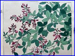 Japanese Woodblock Print Bush Clover Kawarazaki Shodo Flower Vintage Original