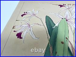 Japanese Woodblock Print CATTLEYA/DENDROBIUM Rakuzan Flower Vintage Original
