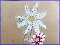 Japanese Woodblock Print DAHLIA 2 Rakuzan Flower Botanical Antique